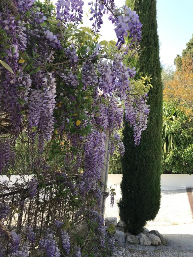 סן-פול-דה-ואנס Bastide Nomade - Guest House מראה חיצוני תמונה